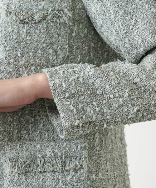Leilian PLUS HOUSE / レリアンプラスハウス テーラードジャケット | 【店舗人気】フリンジジャケット | 詳細16