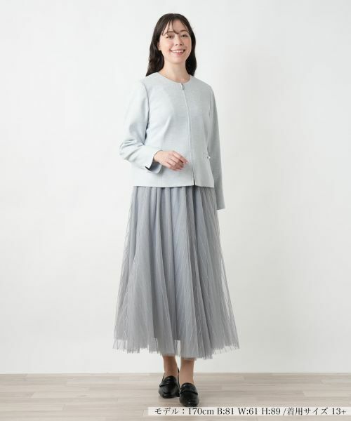 Leilian PLUS HOUSE / レリアンプラスハウス ミニ・ひざ丈スカート | 【店舗人気】メッシュフレアスカート【BOURGE】 | 詳細1