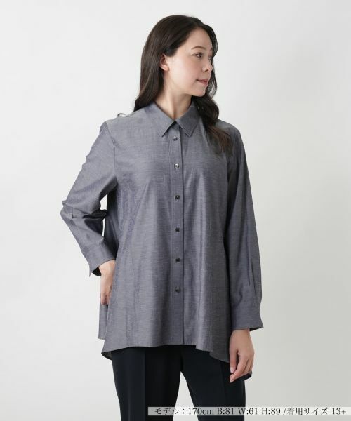 Leilian PLUS HOUSE/レリアンプラスハウス 【店舗人気】フレアブラウス【Leilian WHITE LABEL】 ブルー系 17+