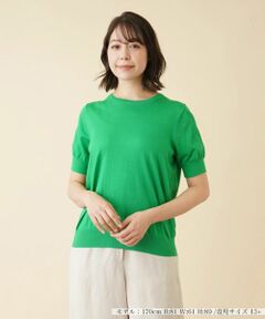 Leilian PLUS HOUSE / レリアンプラスハウス ニット・セーター | クルーネックニットプルオーバー