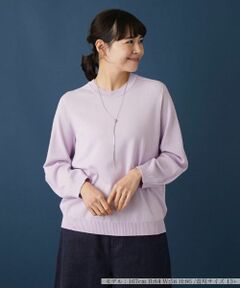 Leilian PLUS HOUSE / レリアンプラスハウス ニット・セーター | 【洗える】洗えるプルオーバーニット