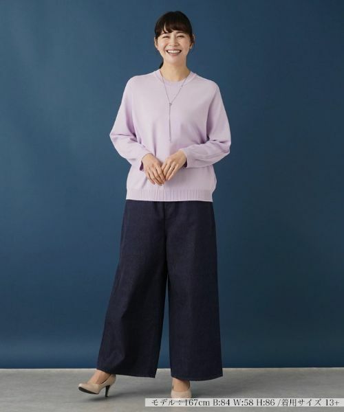 Leilian PLUS HOUSE / レリアンプラスハウス ニット・セーター | 【洗える】洗えるプルオーバーニット | 詳細1