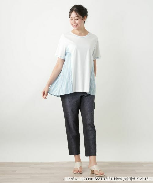 Leilian PLUS HOUSE / レリアンプラスハウス カットソー | ストライプ切替カットソー | 詳細1