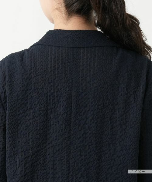 Leilian PLUS HOUSE / レリアンプラスハウス テーラードジャケット | ノッチドラペルジャケット【Leilian WHITE LABEL】 | 詳細11