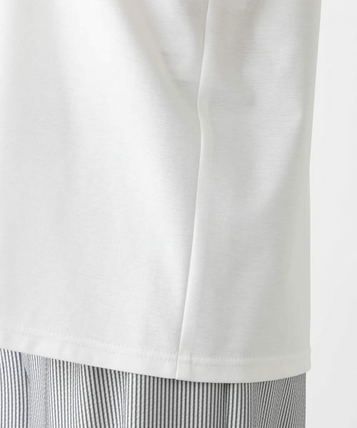 Leilian PLUS HOUSE / レリアンプラスハウス カットソー | 【店舗人気】刺繍ノースリーブカットソー【Leilian WHITE LABEL】 | 詳細10