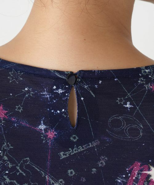 Leilian PLUS HOUSE / レリアンプラスハウス カットソー | 【店舗人気】星座モチーフプリントカットソー【Leilian WHITE LABEL】 | 詳細14