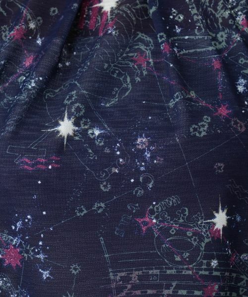 Leilian PLUS HOUSE / レリアンプラスハウス カットソー | 【店舗人気】星座モチーフプリントカットソー【Leilian WHITE LABEL】 | 詳細15