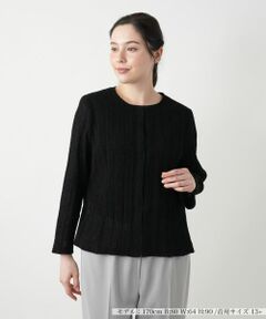 Leilian PLUS HOUSE / レリアンプラスハウス テーラードジャケット | ニットジャケット【Leilian WHITE LABEL】