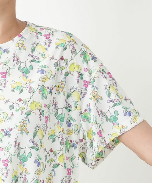 Leilian PLUS HOUSE / レリアンプラスハウス Tシャツ | 【店舗人気】レモンプリントTシャツ【Leilian WHITE LABEL】 | 詳細9