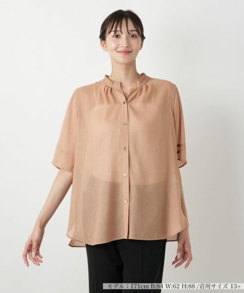 Leilian PLUS HOUSE/レリアンプラスハウス ハイネックプリーツブラウス【Leilian WHITE LABEL】 ブラウン 13+ Leilian PLUS HOUSE/レリアンプラスハウス ハイネックプリーツブラウス【Leilian WHITE LABEL】 ブラウン 13+