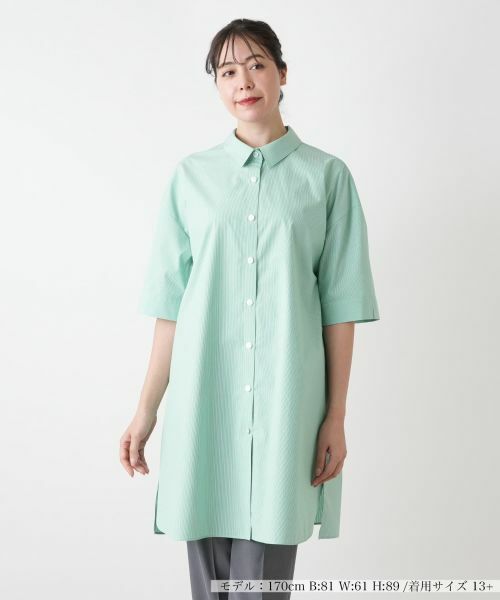 セール】 チュニックブラウス【Leilian WHITE LABEL】 （シャツ