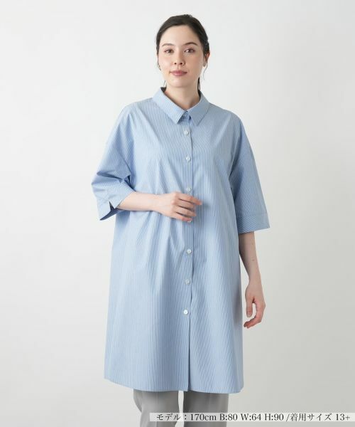 セール】 チュニックブラウス【Leilian WHITE LABEL】 （シャツ
