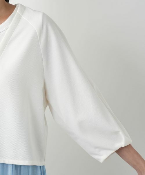 Leilian PLUS HOUSE / レリアンプラスハウス テーラードジャケット | Vネッククロップドジャケット【Leilian WHITE LABEL】 | 詳細12