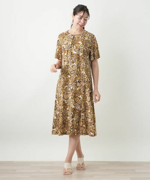 Leilian PLUS HOUSE / レリアンプラスハウス ドレス | ペイズリーフレアワンピース【Leilian WHITE LABEL】 | 詳細1