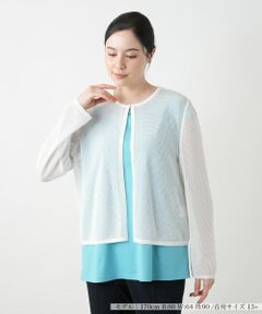 Leilian PLUS HOUSE / レリアンプラスハウス カーディガン・ボレロ | 【店舗人気】クルーネックカーディガン【Leilian WHITE LABEL】