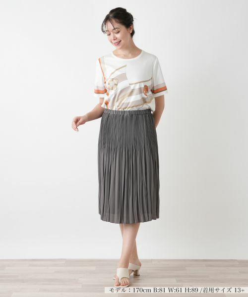 Leilian PLUS HOUSE / レリアンプラスハウス ロング・マキシ丈スカート | プリーツスカート【Leilian WHITE LABEL】 | 詳細4