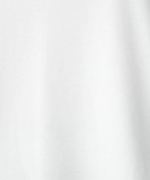 Leilian PLUS HOUSE / レリアンプラスハウス カットソー | 刺繍クルーネックカットソー【Leilian WHITE LABEL】 | 詳細18