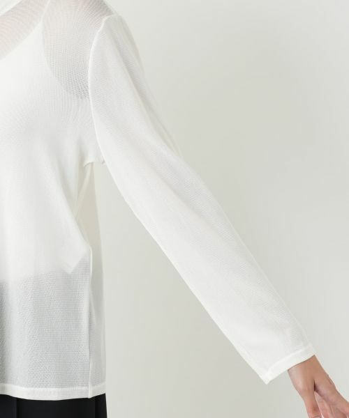 Leilian PLUS HOUSE / レリアンプラスハウス カットソー | ハイネックカットソー | 詳細24