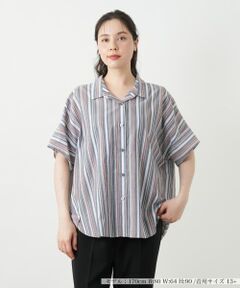 Leilian PLUS HOUSE / レリアンプラスハウス シャツ・ブラウス | マルチストライプブラウス