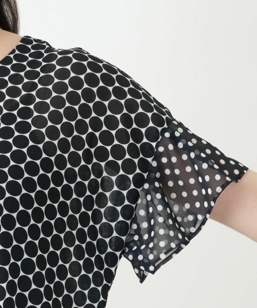 Leilian PLUS HOUSE / レリアンプラスハウス カットソー | ドット切替Vネックカットソー | 詳細9