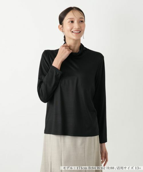 Leilian PLUS HOUSE/レリアンプラスハウス タートルネックカットソー ブラック 17+