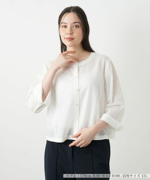 Leilian PLUS HOUSE / レリアンプラスハウス クロップドブラウス【Leilian WHITE LABEL】 クロップドブラウス【Leilian WHITE LABEL】 （シャツ・ブラウス