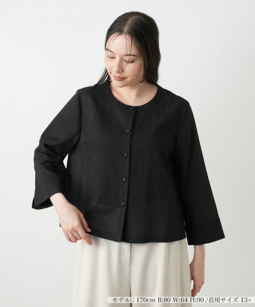 Leilian PLUS HOUSE / レリアンプラスハウス クロップドブラウス【Leilian WHITE LABEL】 クロップドブラウス【Leilian WHITE LABEL】 （シャツ・ブラウス