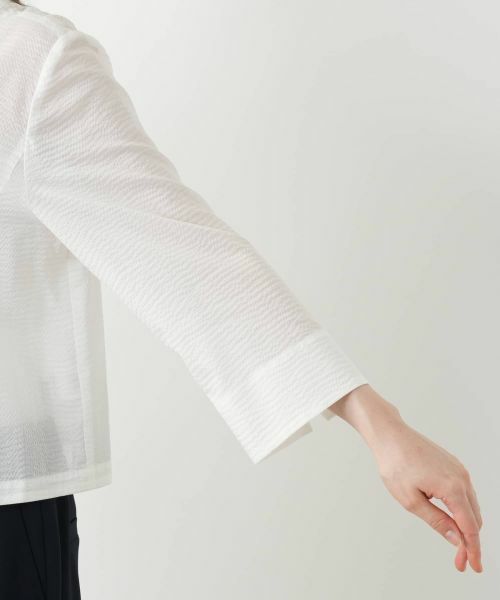 Leilian PLUS HOUSE / レリアンプラスハウス シャツ・ブラウス | 【店舗人気】クロップドブラウス【Leilian WHITE LABEL】 | 詳細16