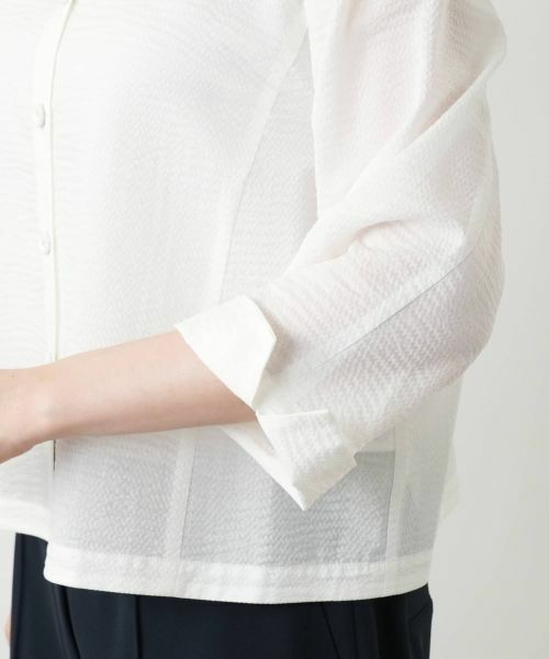 Leilian PLUS HOUSE / レリアンプラスハウス シャツ・ブラウス | 【店舗人気】クロップドブラウス【Leilian WHITE LABEL】 | 詳細17