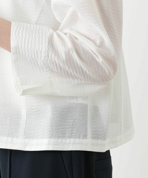 Leilian PLUS HOUSE / レリアンプラスハウス シャツ・ブラウス | 【店舗人気】クロップドブラウス【Leilian WHITE LABEL】 | 詳細18