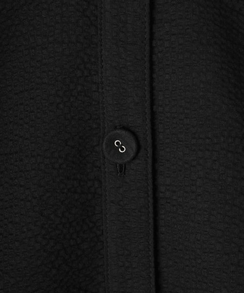 Leilian PLUS HOUSE / レリアンプラスハウス シャツ・ブラウス | 【店舗人気】クロップドブラウス【Leilian WHITE LABEL】 | 詳細21