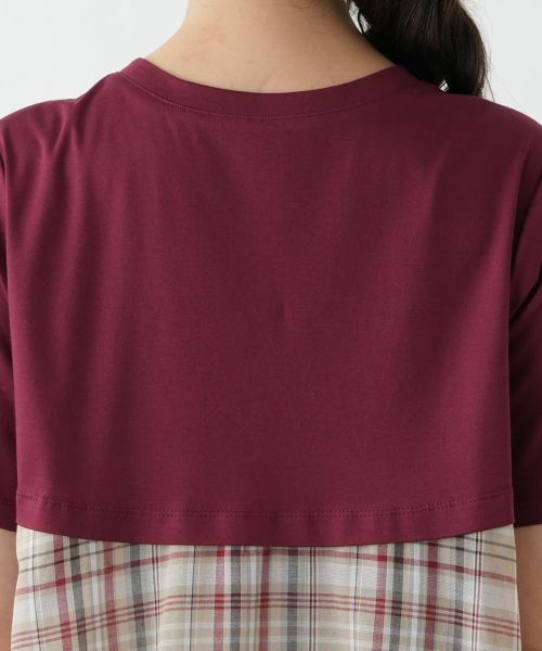 Leilian PLUS HOUSE / レリアンプラスハウス カットソー | チェック切替フレアカットソー | 詳細11