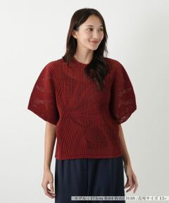 Leilian PLUS HOUSE / レリアンプラスハウス シャツ・ブラウス | 透かし編みビッグスリーブブラウス