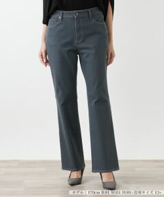 Leilian PLUS HOUSE / レリアンプラスハウス デニムパンツ | ストレッチパンツ【L JEANS】