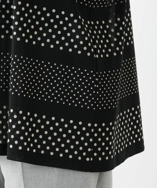 Leilian PLUS HOUSE / レリアンプラスハウス シャツ・ブラウス | ドットボーダーブラウス【プラス企画】 | 詳細13