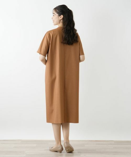 Leilian PLUS HOUSE / レリアンプラスハウス ドレス | スキッパーフレアワンピース【Leilian WHITE LABEL】 | 詳細3