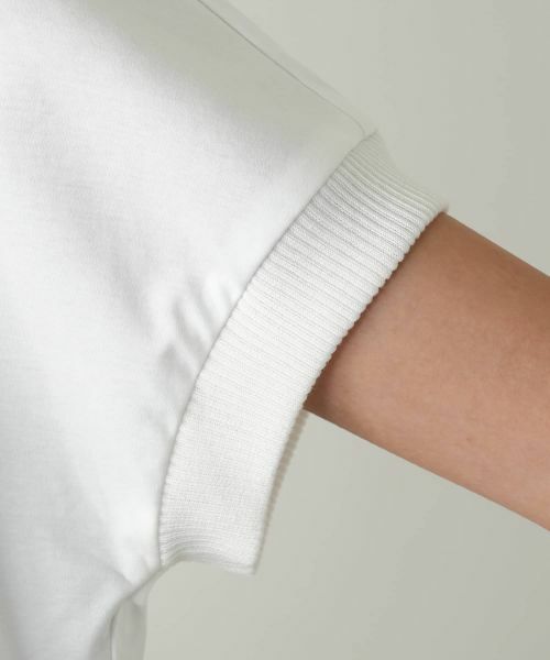 Leilian PLUS HOUSE / レリアンプラスハウス カットソー | クルーネックカットソー【プラス企画】 | 詳細17
