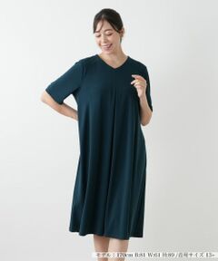 Leilian PLUS HOUSE / レリアンプラスハウス ドレス | Vネックフレアワンピース【Leilian WHITE LABEL】