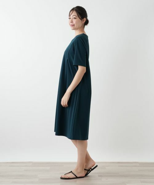 Leilian PLUS HOUSE / レリアンプラスハウス ドレス | Vネックフレアワンピース【Leilian WHITE LABEL】 | 詳細5