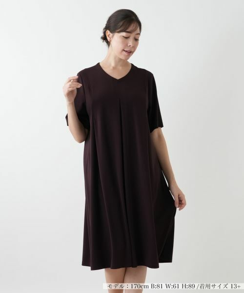 Leilian PLUS HOUSE / レリアンプラスハウス ドレス | Vネックフレアワンピース【Leilian WHITE LABEL】(ブラウン系)