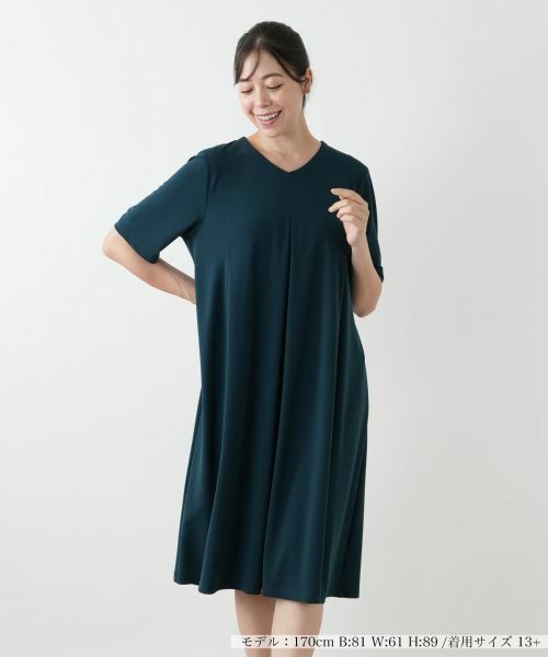 Leilian PLUS HOUSE / レリアンプラスハウス ドレス | Vネックフレアワンピース【Leilian WHITE LABEL】(カーキ系)