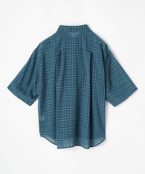 Leilian PLUS HOUSE / レリアンプラスハウス シャツ・ブラウス | シアーチェックブラウス【Leilian WHITE LABEL】 | 詳細3