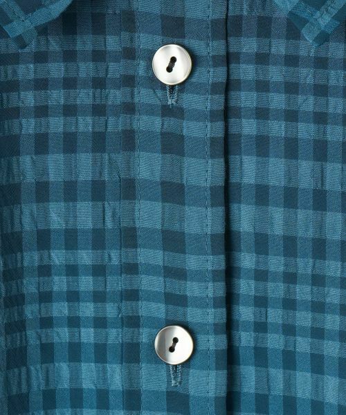 Leilian PLUS HOUSE / レリアンプラスハウス シャツ・ブラウス | シアーチェックブラウス【Leilian WHITE LABEL】 | 詳細5