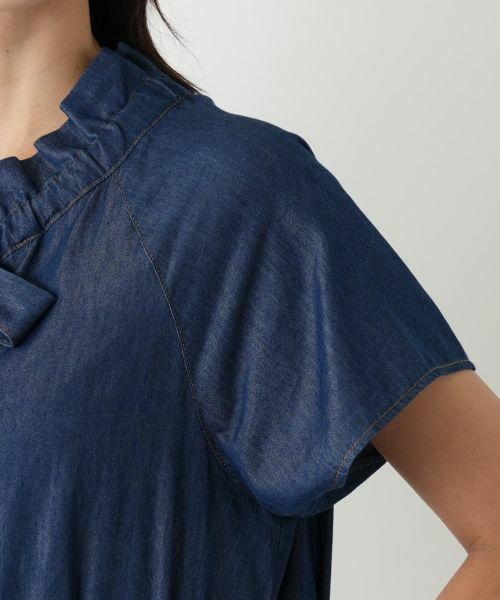 Leilian PLUS HOUSE / レリアンプラスハウス ドレス | フリルスタンドカラーワンピース【NEMIKA】 | 詳細9