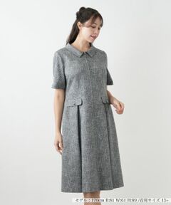 Leilian PLUS HOUSE / レリアンプラスハウス ドレス | ジップフレアワンピース【BOURGE】