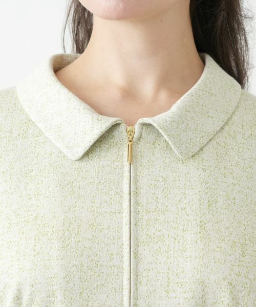 Leilian PLUS HOUSE / レリアンプラスハウス ドレス | ジップフレアワンピース【BOURGE】 | 詳細10