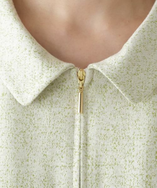 Leilian PLUS HOUSE / レリアンプラスハウス ドレス | ジップフレアワンピース【BOURGE】 | 詳細14