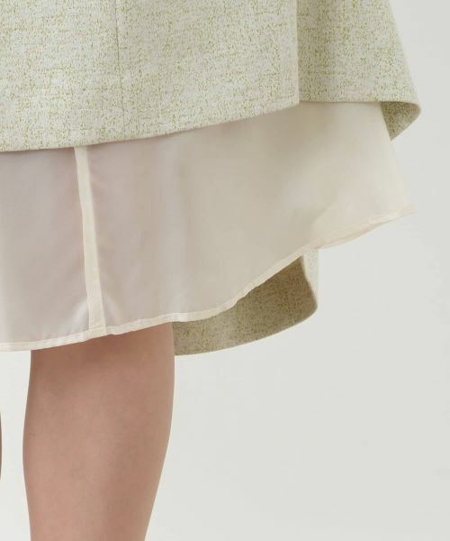 Leilian PLUS HOUSE / レリアンプラスハウス ドレス | ジップフレアワンピース【BOURGE】 | 詳細16