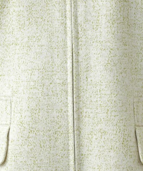 Leilian PLUS HOUSE / レリアンプラスハウス ドレス | ジップフレアワンピース【BOURGE】 | 詳細18