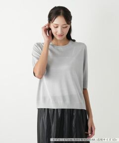 Leilian PLUS HOUSE / レリアンプラスハウス ニット・セーター | クルーネックニット